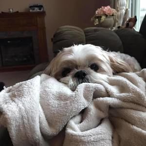 Meet your Posher, Gwen